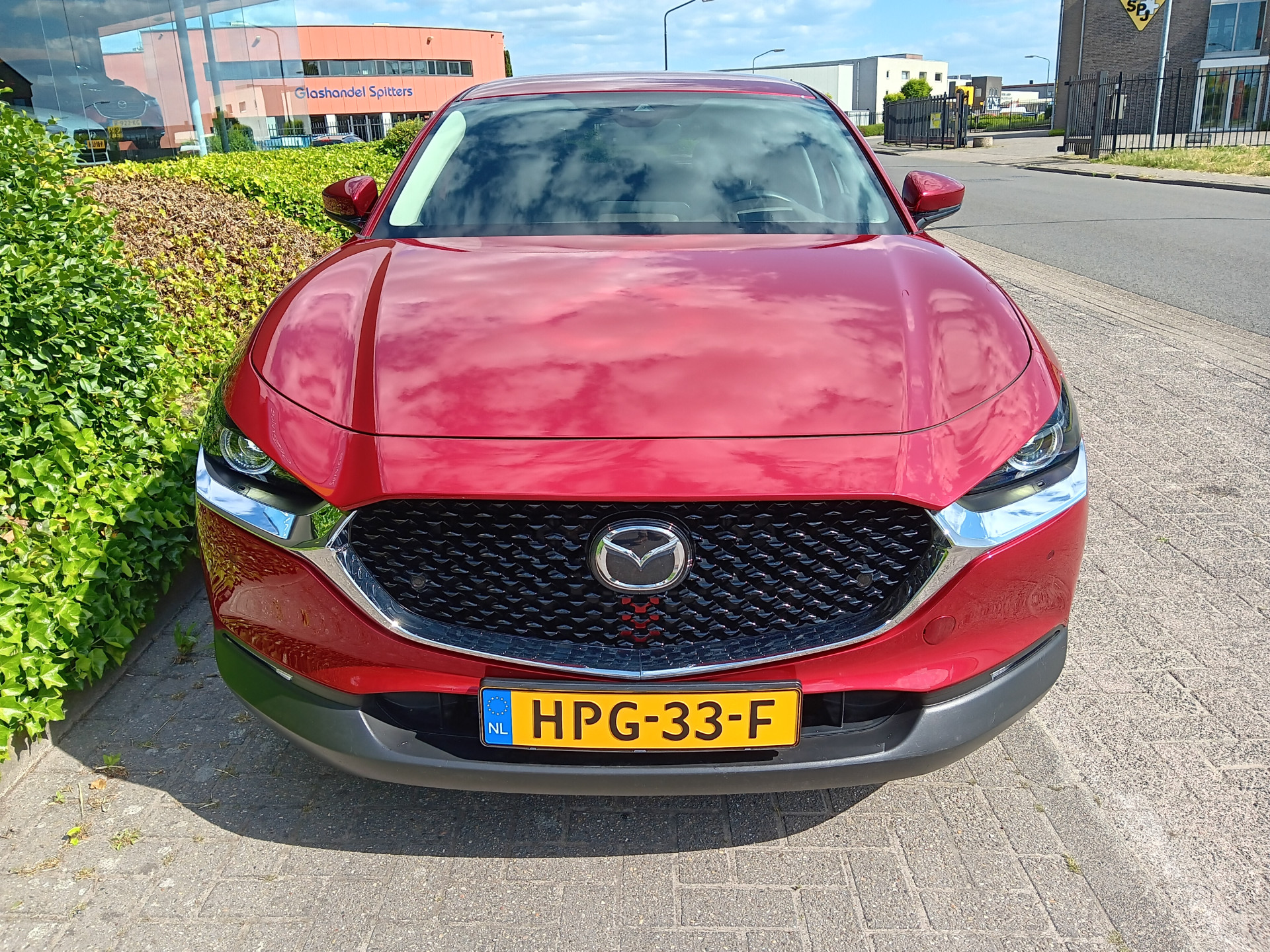 44997597-2.jpg
