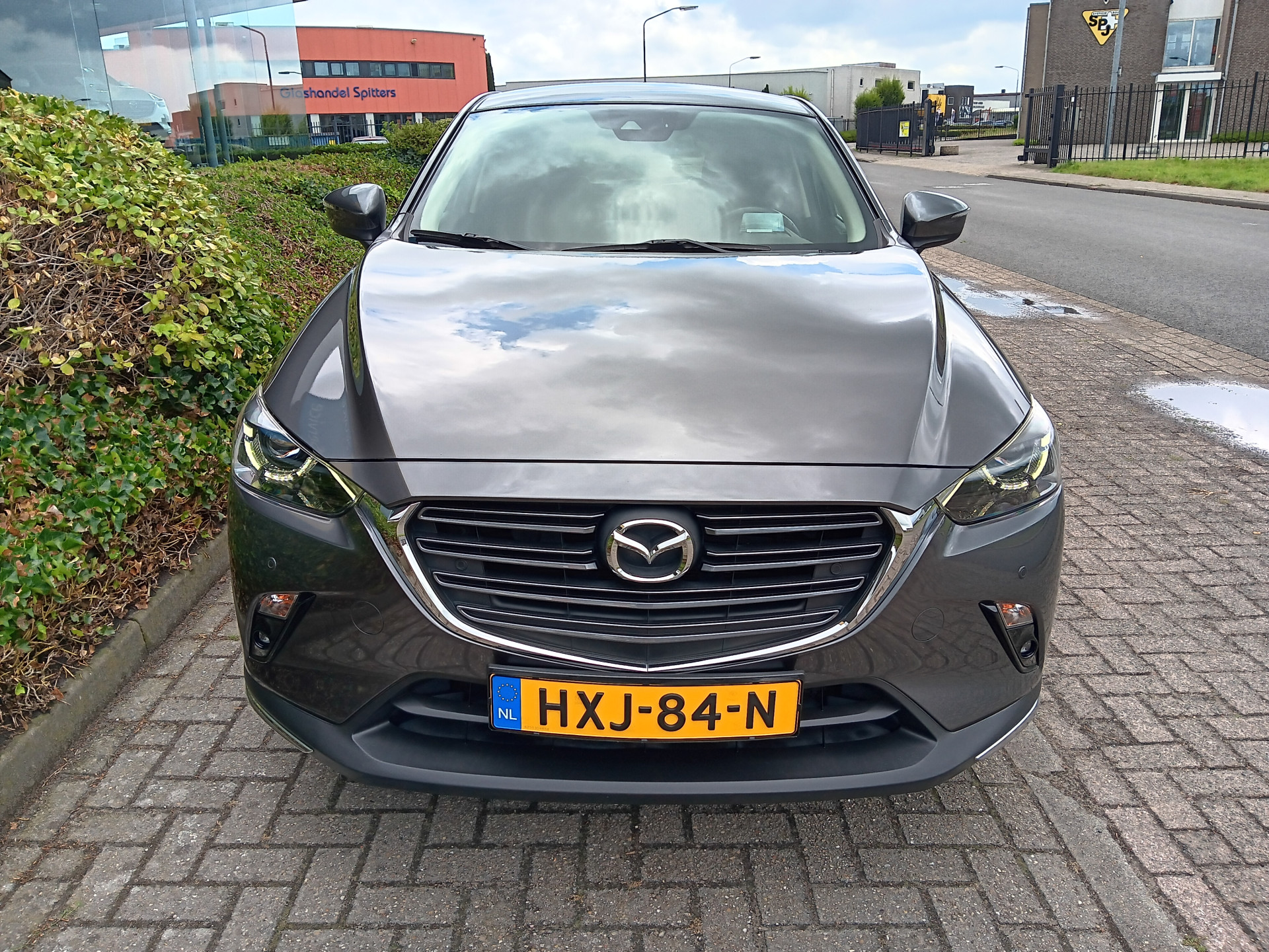 46422218-2.jpg