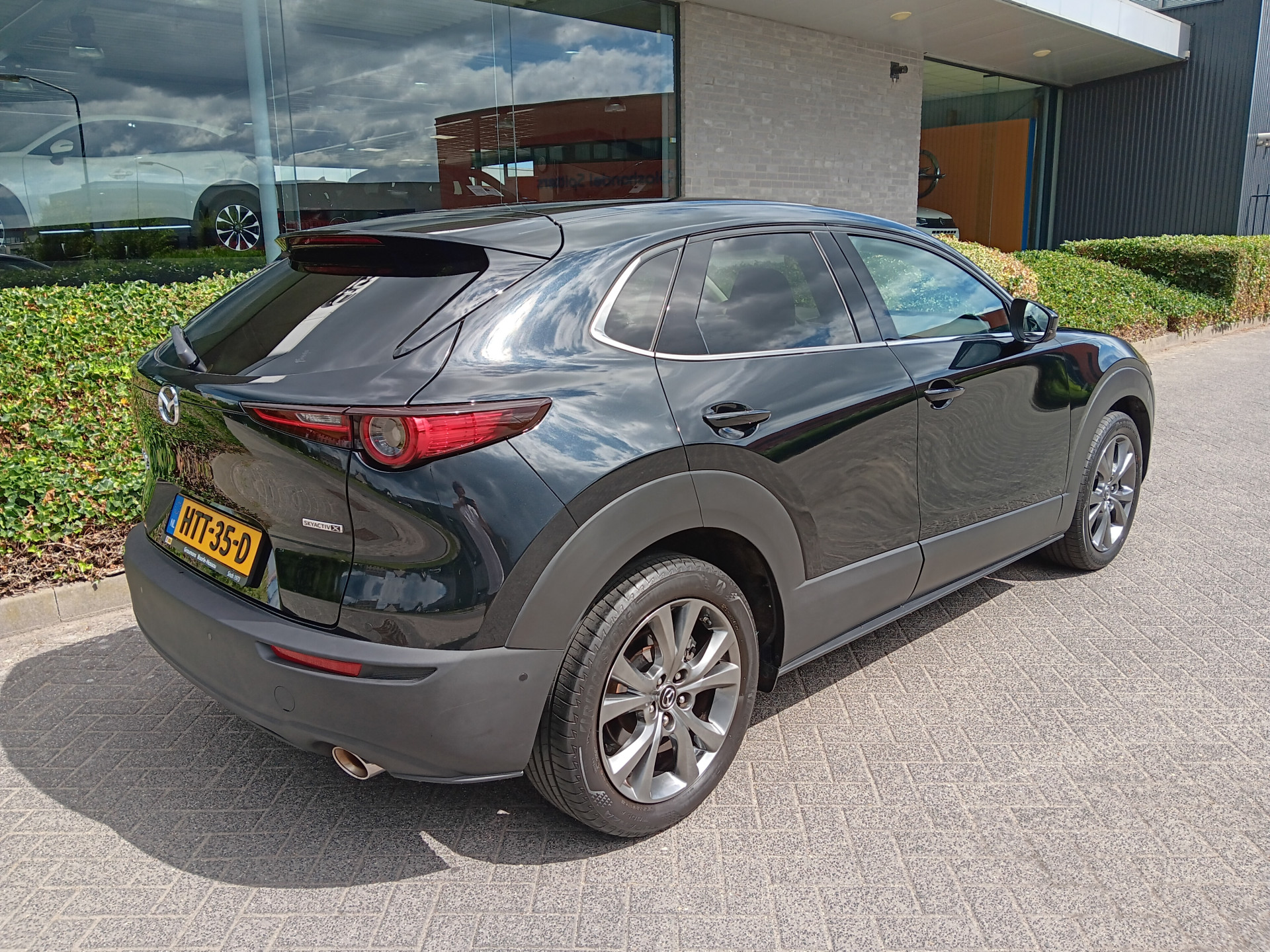 46518112-4.jpg
