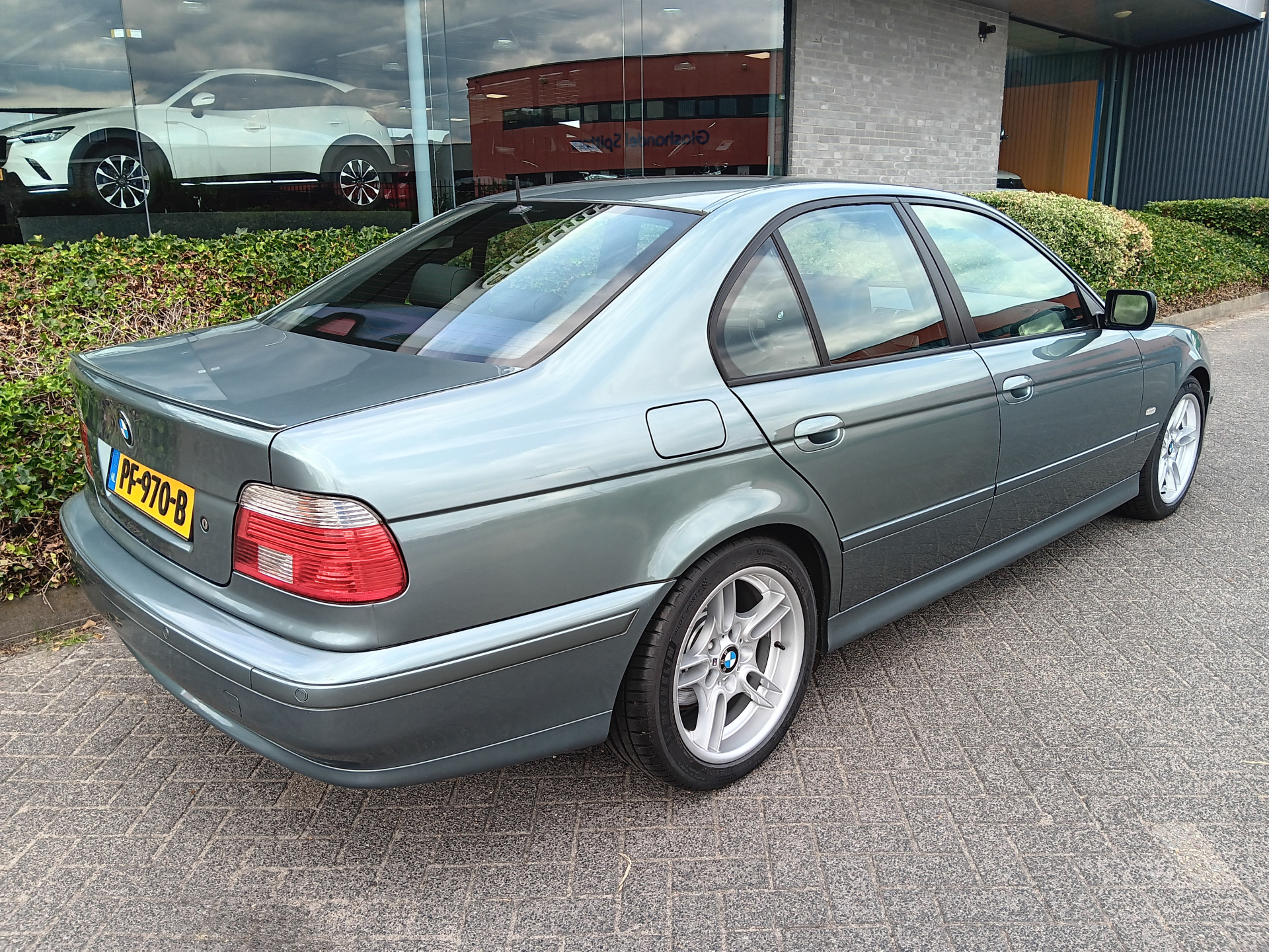 46528508-4.jpg