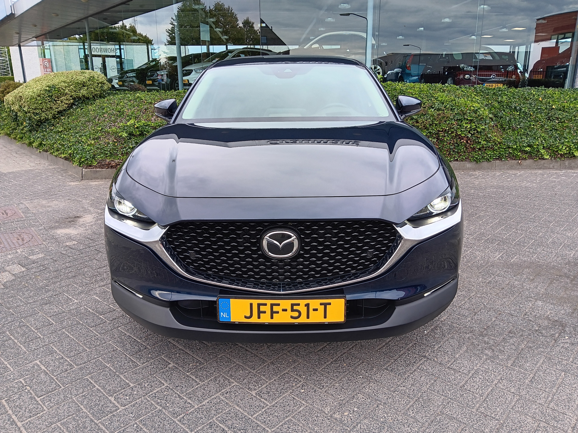 47505933-2.jpg