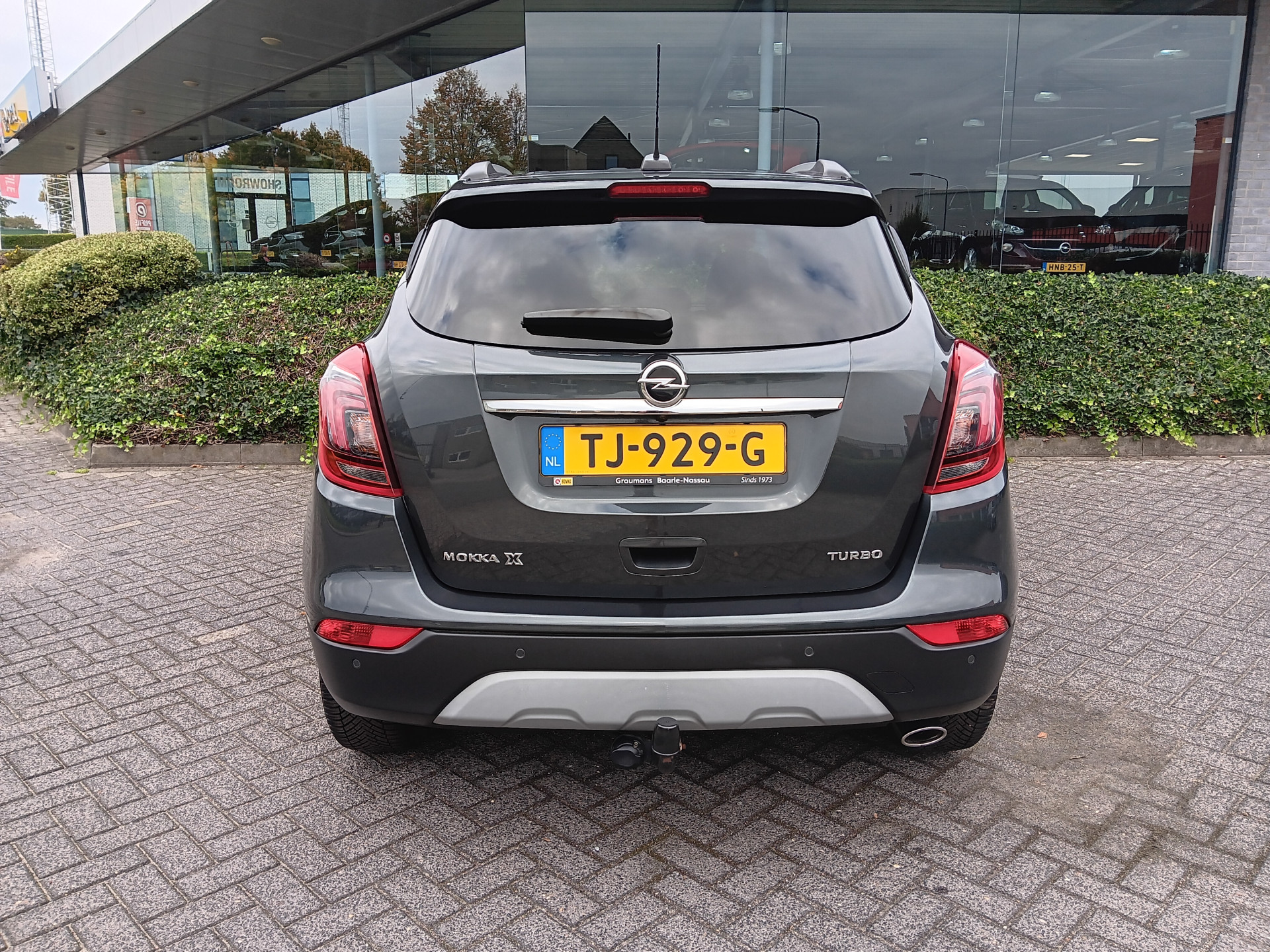 48188426-7.jpg