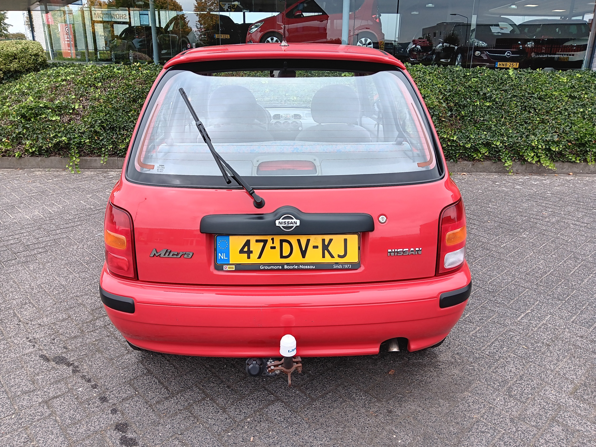 48303942-7.jpg