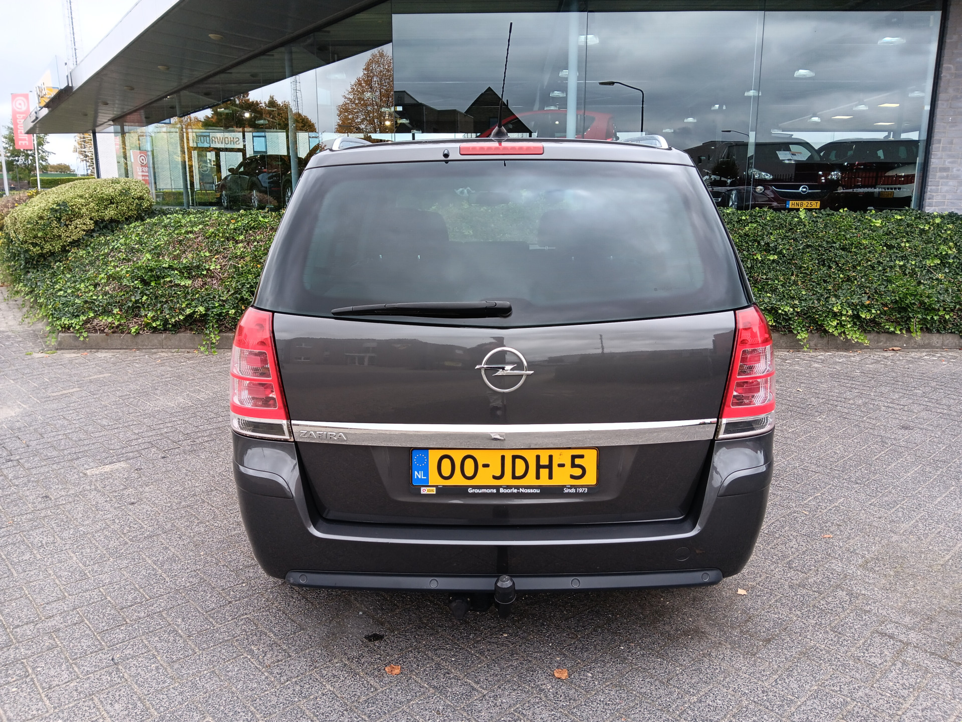 48351390-7.jpg