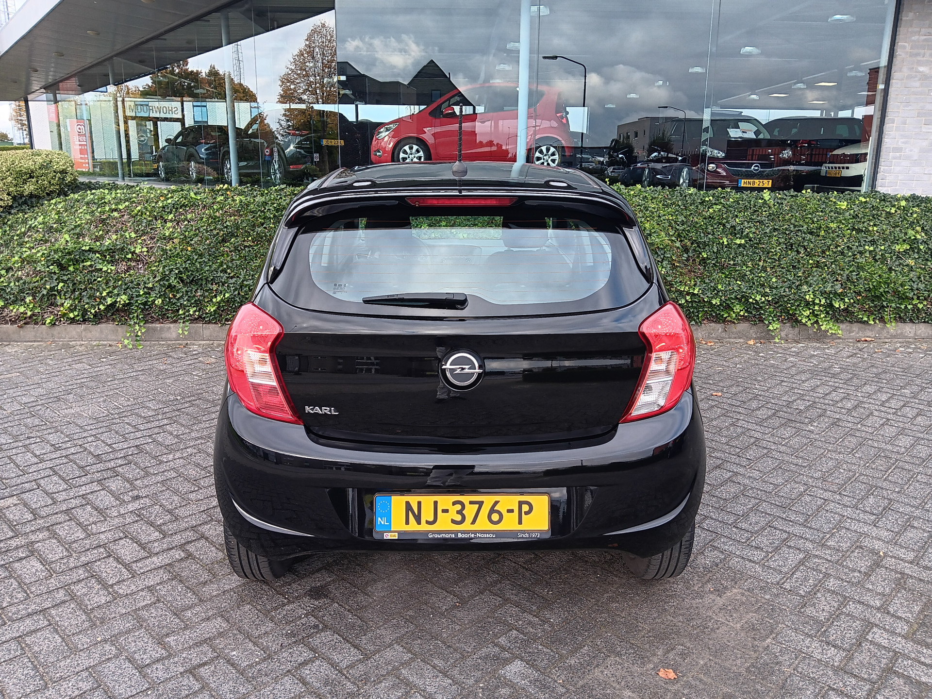 48379826-6.jpg